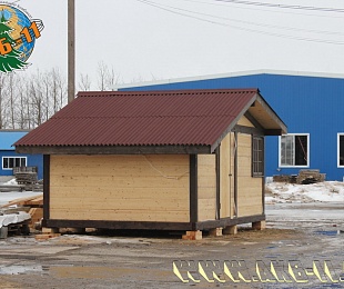 ���������� ���� �� 311